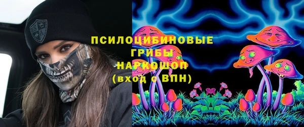 apvp Алексин